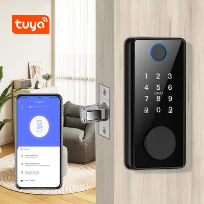China Tuya App Deadbolt Door Lock TH-G1 Biometric Passcode Card Kehy Unlock Full Automatic Office Door Lock for sale