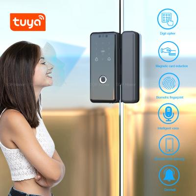 China Office Smart Tuya Glass Door Lock WiFi Wireless Control Biometric Recognition Unlock for sale
