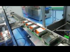 Forming Continuous Automatic Box Packing Machine Auto Filling Sealing Machine