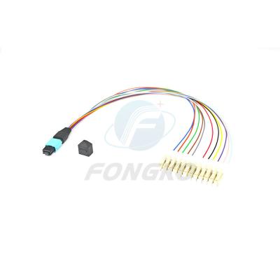 China 12 Fiber MPO LC Fanout Cable OM3 To 0.9mm MM Fiber Optic Patch Cord for sale