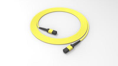 China 12 Core Trunk Fiber Optic Patch Cable LSZH Fiber Optic Cable MPO MTP Singlemode for sale