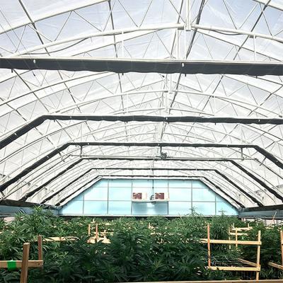 China Invernadero opaco de tela de cortina agrícola Control automático Invernadero de privación de luz de cáñamo en venta
