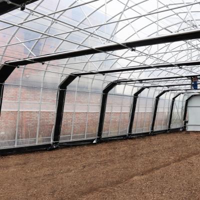 중국 농업 온실 10m * 100m 가벼운 박탈 온실 수경 대마 성장을 위한 수경 온실 판매용