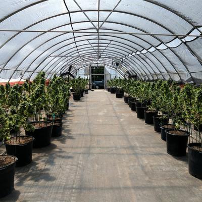 China Plantas de marijuana medicinais que crescem fornecedores da casa de Dep Greenhouse Light Deprivation Green para o cânhamo à venda