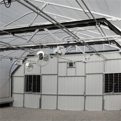 China Agricultural Single-span Black Out Greenhouse Automated Light Dep Deprivation Blackout Greenhouse for sale
