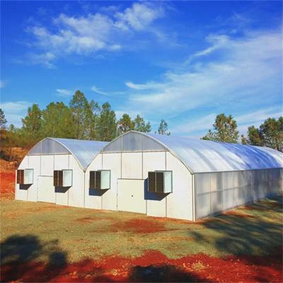China BAOLIDA 20 X 40 Polycarbonate Tunnel Automated Blackout Greenhouse for sale