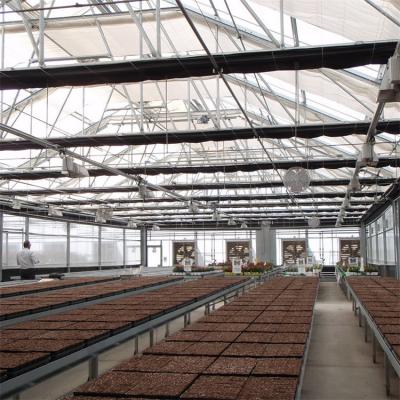 China US Market Blackout Light Deprivation Tunnel Greenhouse Agriculture Single-Span Blackout Shading In Greenhouse for sale