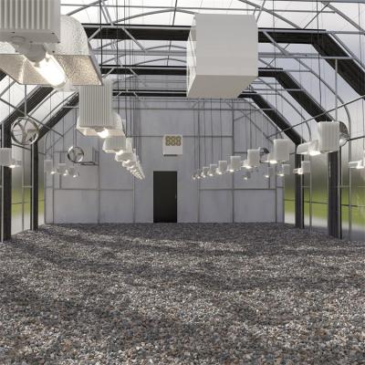 China Singlespan Film Mini Tunnel Interior Light Dep Greenhouses Length 10-100M for sale