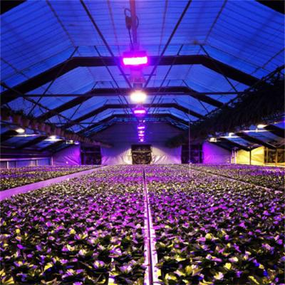 China Light Deprivation Automatic Blackout Greenhouse Height 2.8-5m for sale