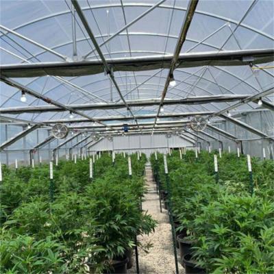China 100% Shading Black Out Greenhouse Fully Automated Hydroponic Polytunnel Light Deprivation Greenhouse With Ridge Vents for sale
