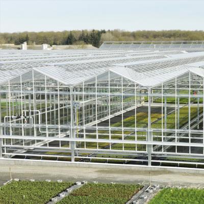 中国 8mm フロート ガラス フェンロー ガラス温室の水耕栽培システム二重層 販売のため