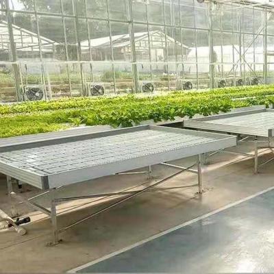 China Hanfanbau-Gewächshauszubehör 4'×8' 4'×10' Ebbe und Flut Rollbank zu verkaufen