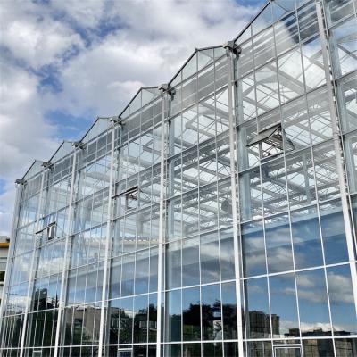 China Multispan Metal Frame Venlo Glass Greenhouse With High Durability for sale