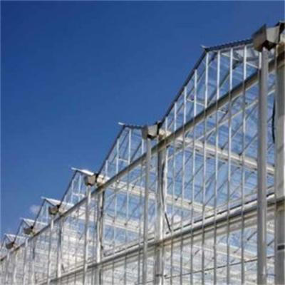 China Invernadero de vidrio de alta transmisión de luz de Venlo Diseño colorido para jardín en venta