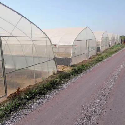 China Plastic Film Steel Frame Greenhouse With 90% Light Transmittance for sale