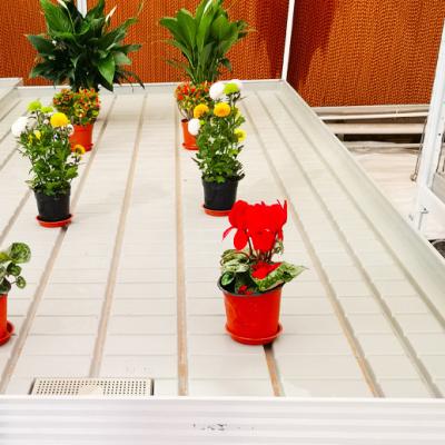 China Aluminum Alloy Galvanized Steel Frame Greenhouse Rolling Tables Total Length＞ 7.5 à venda