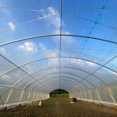 China Rollo hacia arriba Ventilación de los lados Invernadero sostenible Invernadero de túnel alto para la granja en venta