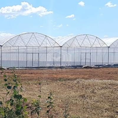 China Year Round Nursery Hothouse Automated Dome Modular Multispan Tunnel Greenhouse for sale