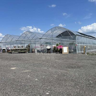 China Continuous Structure Multiple Bays Connected Multi Span High Tunnel Greenhouse for sale