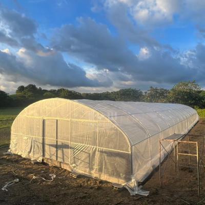 China Metal Frame Hothouse Vegtable Hoop House High Tunnel Greenhouse for Sale for sale