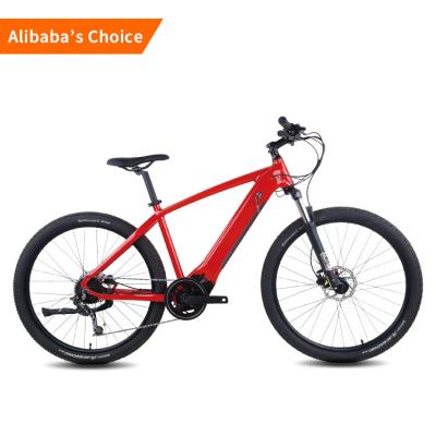 China Rothar Electric City Bike 36v Battery Bicycle 27.5 Inch for sale