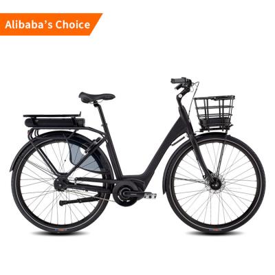 China 36v 10ah Electric City Bike Hub Motor Lithium Battery for sale