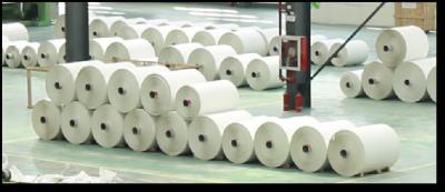 Cina Fire Resistant Tear Resistant Stone Paper Roll Without Wood Pulp And Water Pollution in vendita