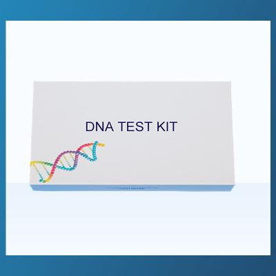 China HUACHENYANG DNA Collection Kit Flocked Nylon Tip Swab Kit Paternity Test Kit for sale