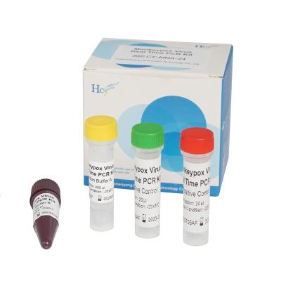 China Jogo do teste do vírus do PCR Kit Laboratory Rapid Test Monkeypox do tempo real de Monkeypox à venda