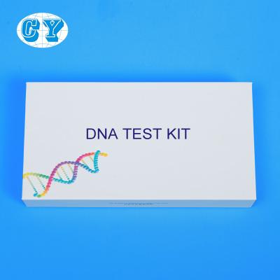 China prueba de la DNA de Kit Home Parent Child de la colección de la muestra de la DNA de 150m m en venta