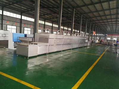 China Vegetable microwave sterilization equipment - UK customer visit for sale