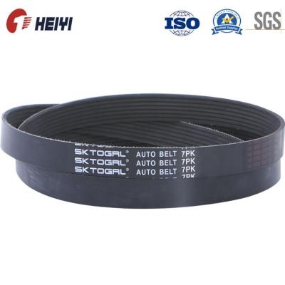 China High Quality Ribbed Belt Pk Belt for sale