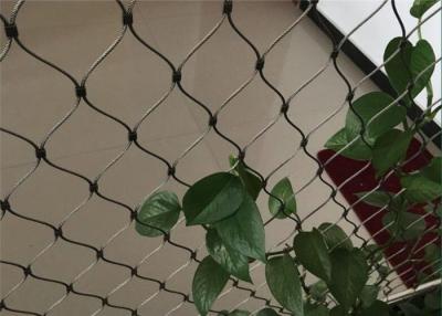 China Green Wall Stainless Steel Cable Trellis Diamond / Rhombus Mesh for sale