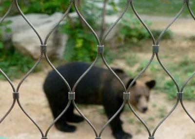 China Stainless Steel Zoo Wire Mesh for Bear for sale