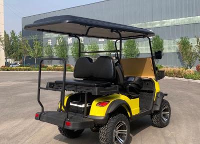 China Mini Electric Vehicle 2 Seater Lifted Buggy Golf Carts Lead Acid Lithium Battery Powered for sale