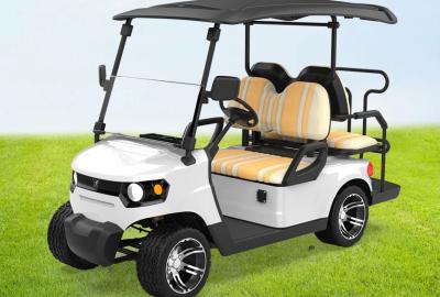 China 2+2 asientos Carritos de carretillas Precio Electric Golf Buggy Venta caliente ECE&ISO Trolley aprobado en venta