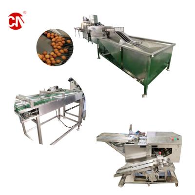 China Small Egg Powder Making Machine with Liquid Egg Production Line and Yolk Separating for sale
