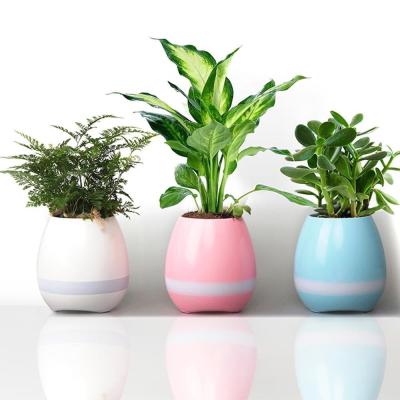 China Speaker Mini Home Smart Plant Toy light music Smart Touch Plant Piano Music Playin With  from grgheadsets.aliexpress.com for sale