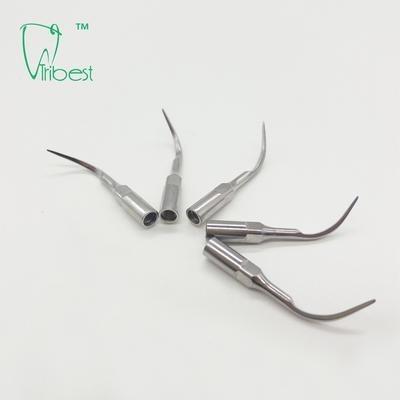 China P1 Woodpecker Ultrasonic Tips Dental Hygiene Stainless Steel for sale