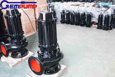 中国 ISO9001浸水許容の下水ポンプの鋳鉄の下水のカッターの浸水許容ポンプ 販売のため