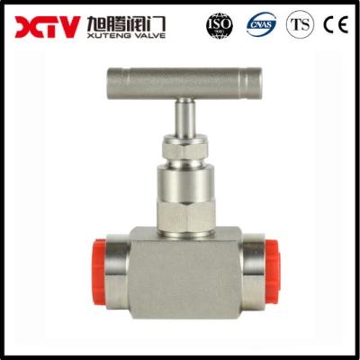 China Customized Request Stainless Steel Needle Valve with Customization and BSPT Handle for sale