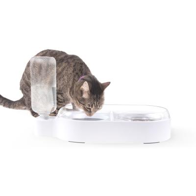 China Professional Automatic Isolated Strake Spill Proof Dog Bowl 2 bowl dog feeder for sale