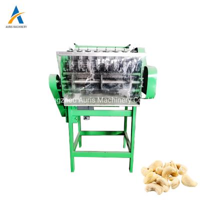 China Grading Commercial Peanut Roasting Machine Peeler Nut Cashew Shelling Machine for sale