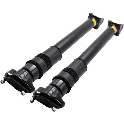 China W251 V251 Mercedes R Class Air Suspension 2513202231 Air Spring Shock Absorber for sale