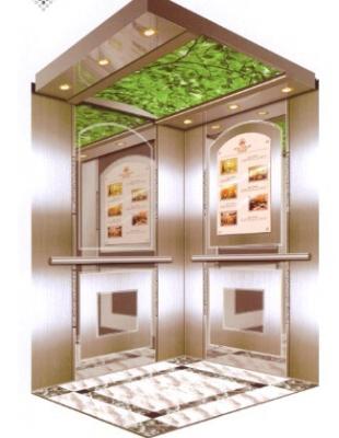 China Smaller Hoistway Shadow Elevators For Home Use / Homelift Elevators for sale