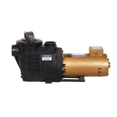 China Wholesale swimming pool pump water treatment solutions china electric swimming pool pump 220V for sale