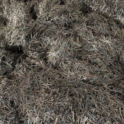 China Cr24-Cr 26 Stainless Steel Fibers For Concrete SS Fiber High Grade for sale