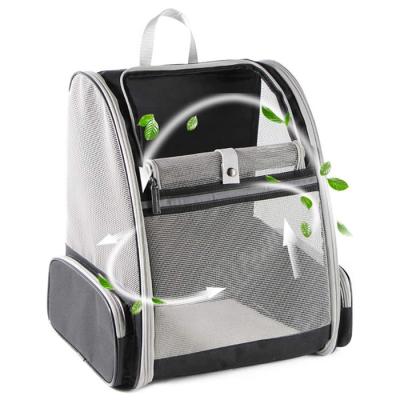 China Small Cat Dog Pet Carrier Backpack Ventilated Safety Straps Buckle Collapsible for sale