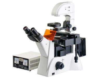China Wide Field Eyepiece Inverted Fluorescent Microscope 40X With UIS Optical System Phase for sale
