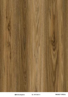 China Eucalyptus Wood Look  Click SPC Flooring Lime Powder PVC Composite GKBM GL-W7200-4 en venta